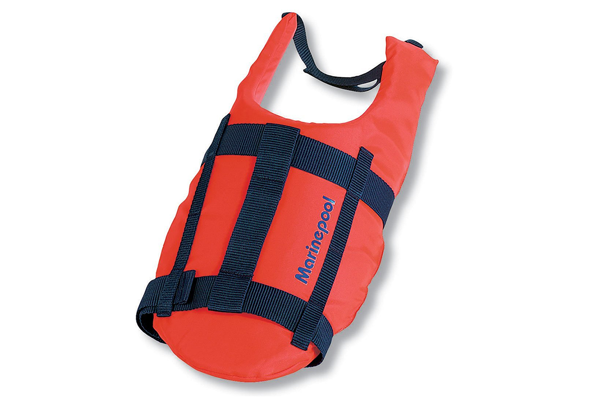 Marinepool koera paeaestevest oranz